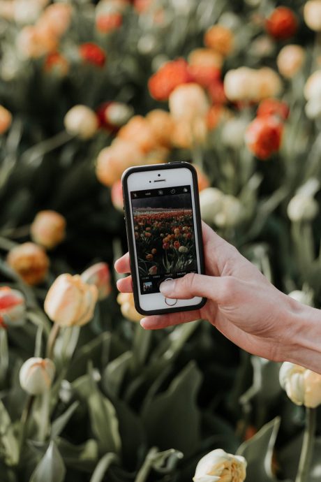 Instagram Captions tips