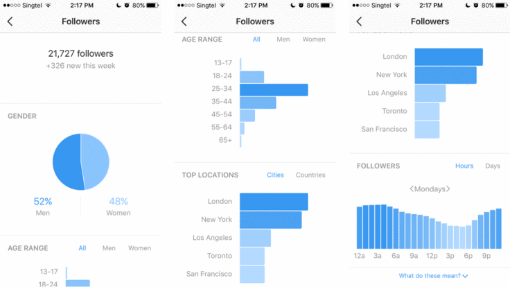 a screenshot showing a dashboard of Instagram insights reporting data