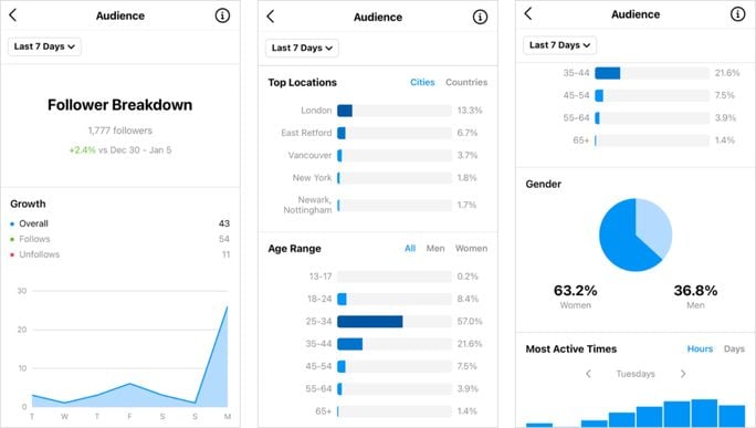 a screenshot showing the Instagram engagement analytics reporting