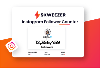 Instagram follower count checker