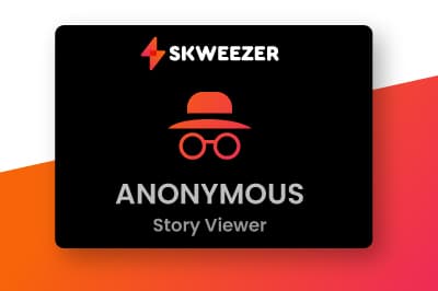 instagram story viewer tool